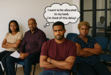 Why Land Allocation Delay Happens and How to Avoid It
