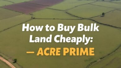 How to Buy Bulk Land at a Cheap/ Affordable Rate