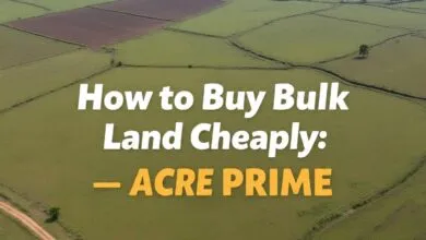 How to Buy Bulk Land at a Cheap/ Affordable Rate